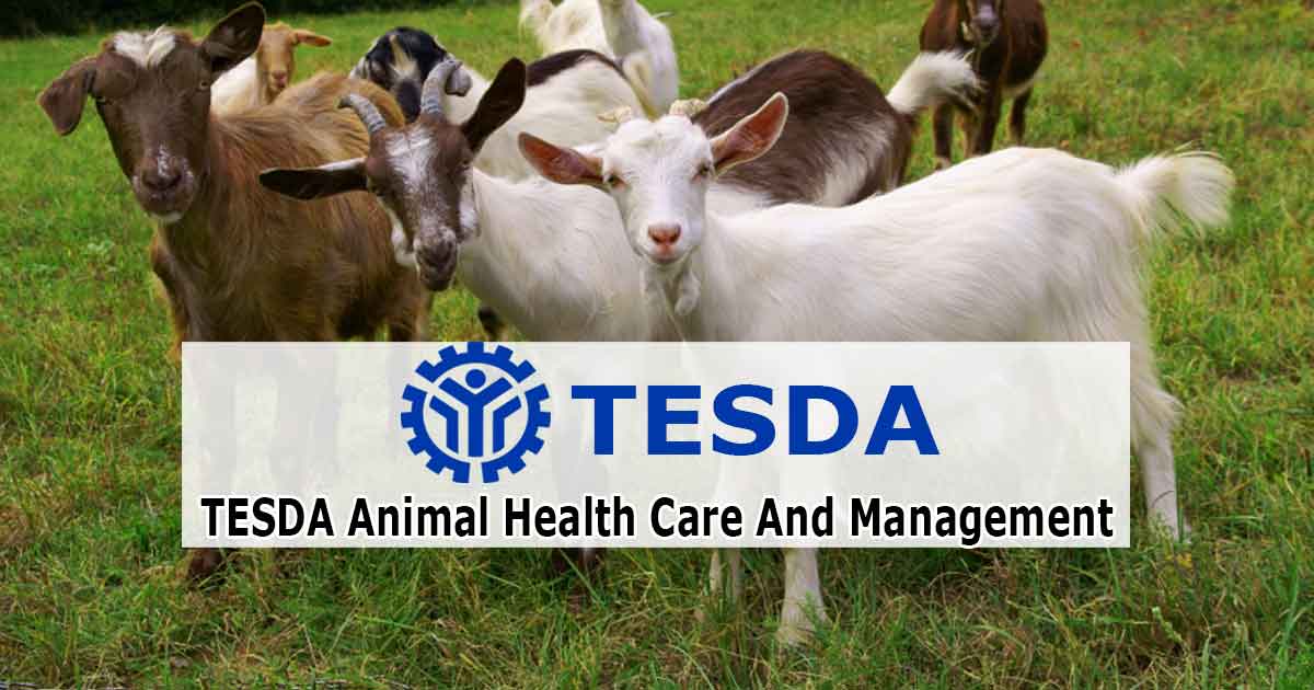 TESDA Animal Health Care And Management NCIII - TESDA Help Guide TESDA Animal Health Care And Management NCIII - TESDA Help Guide